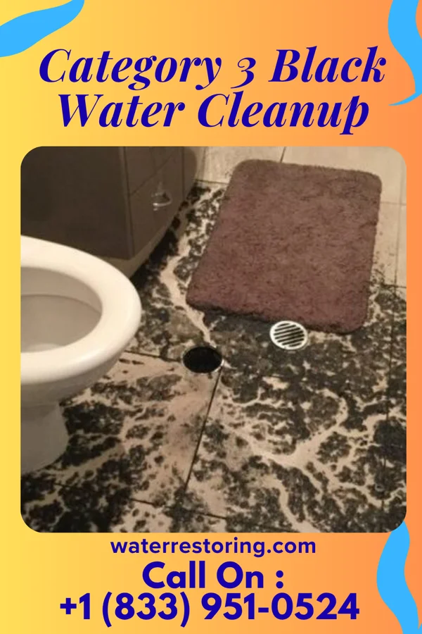 Category 3 Black Water Cleanup in Mitiwanga, OH