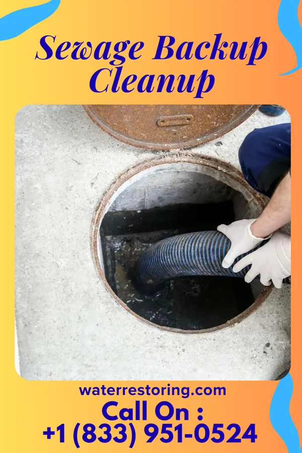 Sewage Backup Cleanup in Mitiwanga, OH