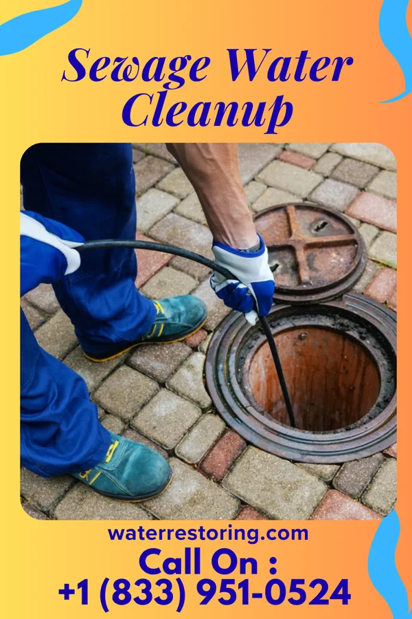Sewage Water Cleanup in Mitiwanga, OH