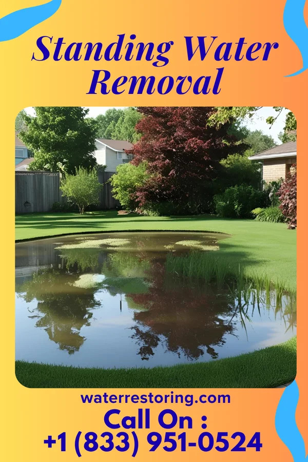 Standing Water Removal in Mitiwanga, OH